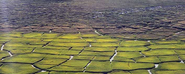 NPS photo